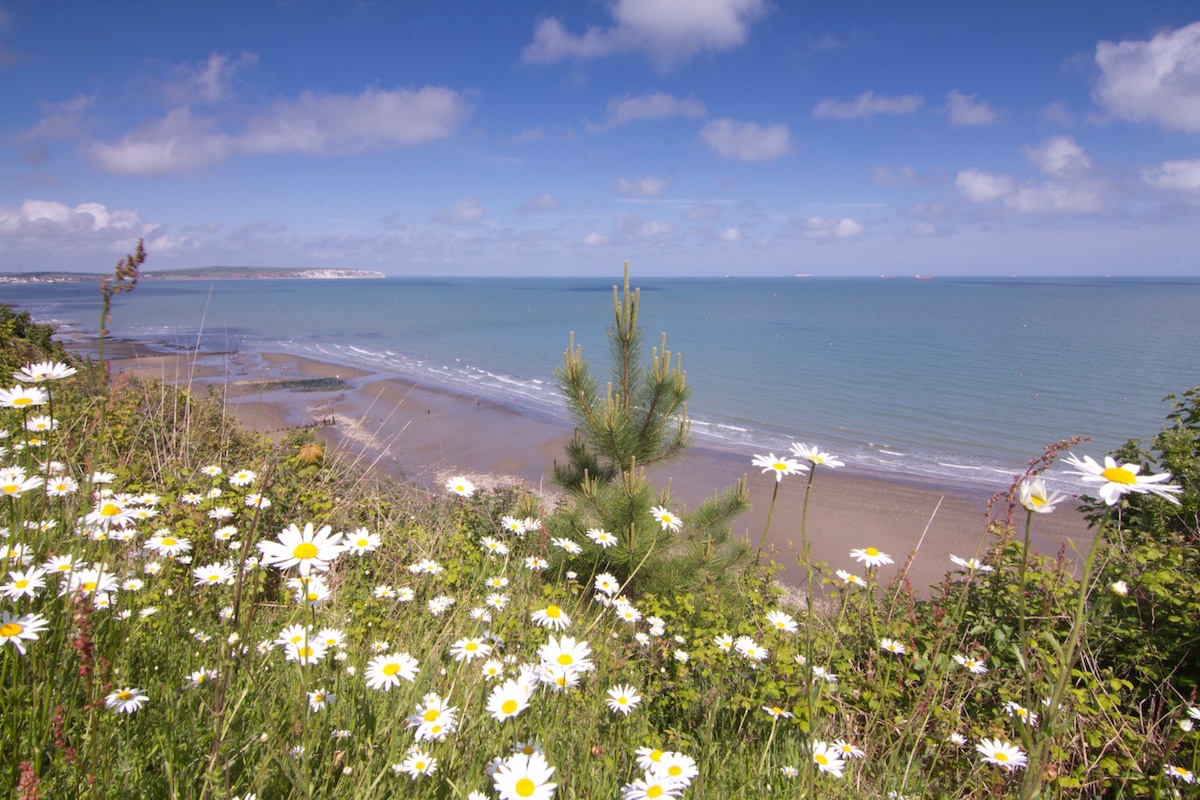 Local Sandy Beach, Shanklin, Isle of Wight
