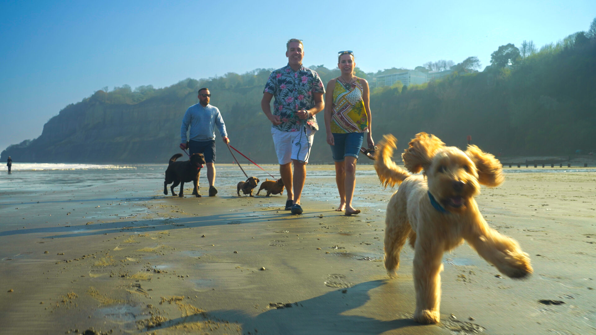 2025 Holidays at 2024 Prices, Luccombe Manor Hotel, Isle of Wight